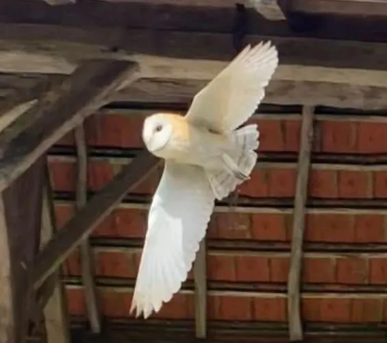 Nyaraló Domainelachevalerie Chapdeuil